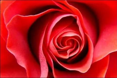 Comment dit-on « rouge » en anglais ?