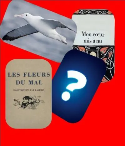 Qui se cache derrière la carte mystère ?