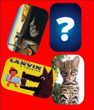 Qui se cache derrière la carte mystère ?