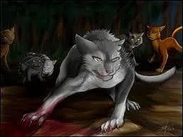 Qui a tué (achevé) Pelage de Silex ?