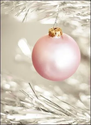 Selon que vous soyez plus de la tradition du Saint Nicolas que du papa Noël, vous n'honorez pas les mêmes dates pour Noël. Cependant la nuit de toutes les attentes des enfants, c'est ?