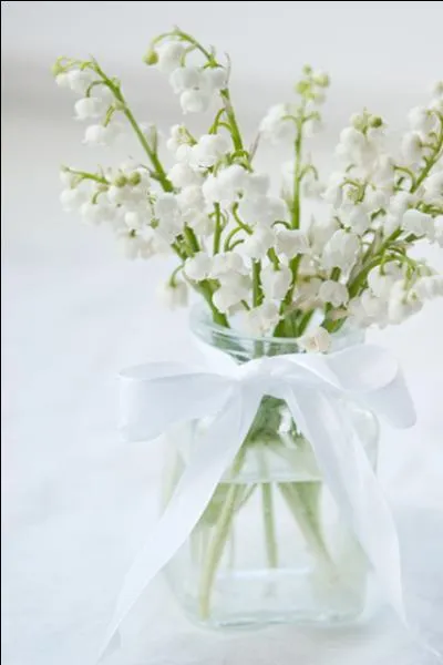 Une jolie tradition que celle du muguet, si beau, si blanc, si parfumé, symbole d'une fête bien méritée à la date du ?