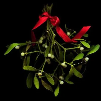 N'est-ce pas la date la plus simple à trouver que celle où l'on s'embrasse sous le gui, plante vénérée par les druides...