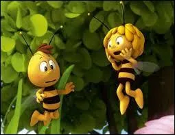 Dans le dessin animé "Maya l'abeille", quel est le prénom du meilleur ami abeille de Maya ?