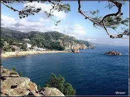 Que veut dire "una Austriaca" ?