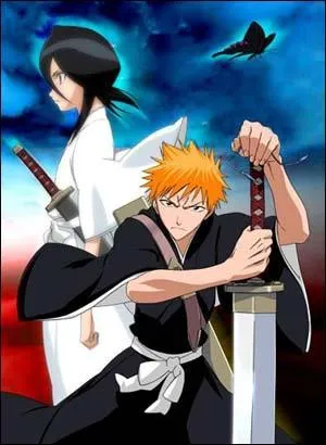 A quel anime appartiennent-ils ?