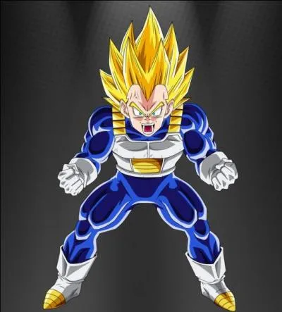 De quel anime est issu ce personnage ?