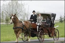 Quel est ce moyen de transport ?