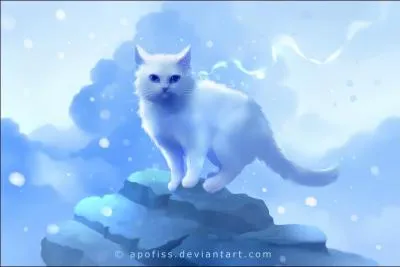 Etoile Bleue a eu combien de petits ?