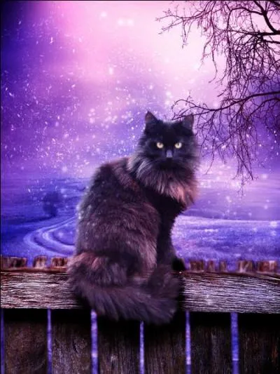 Comment s'appelle sa sur ?