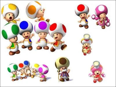 Qui sont ces champignons ?