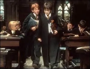 McGonagall peut se transformer en...