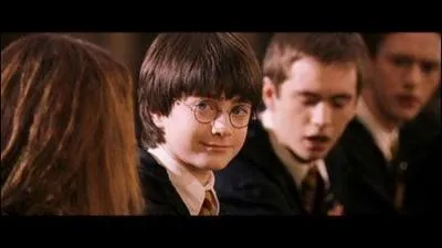 La baguette de Harry...