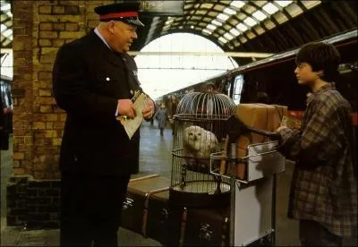 Quel âge ont Hermione, Ron et Harry à leur arrivée à Poudlard ?