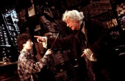 À quel animal Hagrid compare-t-il Dudley, le cousin d'Harry ?