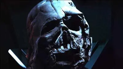 L'idole de Kylo Ren est :