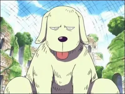 A qui appartient Holy ?