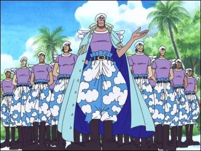 Comment s'appelle le groupe de soldats chargé de faire régner la loi sur Skypiea ?