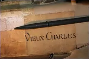 Pourquoi les avions de Charles Guynemer s'appellent-ils tous le «Vieux Charles» ?