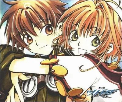 Dans l'histoire, que cherche Shaolan ?