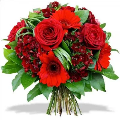 Le mot commence par SOU  et correspond à :