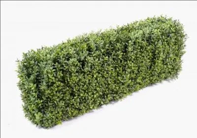 Le mot commence par SOU  et correspond à :