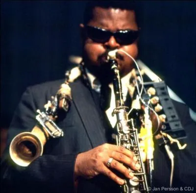 Quand est sorti l'album de Roland Kirk "Domino" ?