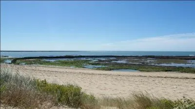 "Domino" est le nom d'un village fran&ccedil;ais appartenant &agrave; la commune de Saint-Georges d'Ol&eacute;ron, en Charente-Maritime.