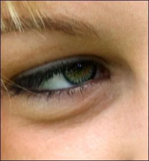 Le mot "cerne" est de genre féminin.