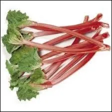 Les feuilles de rhubarbe ne doivent jamais être consommées.