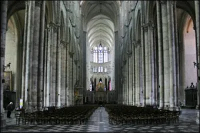 C'est la plus grande de toutes les cathédrales françaises ; elle possède la plus haute nef, s'élevant à 42m. Construite au XIIIe siècle, elle constitue pour beaucoup le sommet de lart gothique. Le portail central, dédié au Christ, possède la statue du « Beau Dieu » :