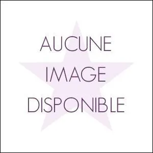 Lors du banquet, combien de tributs sont encore en jeu ? Et de combien de districts ?