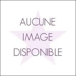 Quelle est la particularit&eacute; des plaques de lancement ?