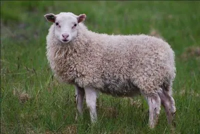 J'ai plus de 6 millions d'abonnés ! Mon nom de famille est Thavaud, j'espère que 'Ma vie en dessin" vous a plu et pour info, je suis sur scène depuis octobre 2015. Qui suis-je ?