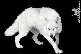 Lequel de ces animaux n'est jamais blanc ?