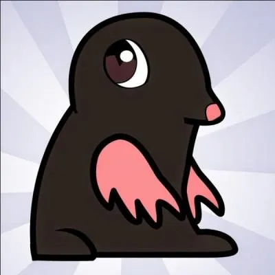 Une chaîne de Top ! Quel jeu de mot y a-t-il dans le nom de la chaîne de Thomas Gekko ?