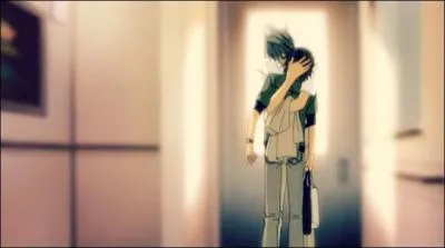 Qui sont "Junjou Romantica" ?