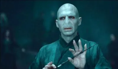 Quel acteur se cache sous les traits de Voldemort ?