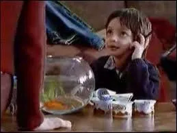 Pour quel type de produit une publicité montre-t-elle un garçon avec son poisson nommé Maurice ?