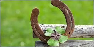 Si vous voulez que ce fer à cheval vous porte bonheur, son ouverture devra se trouver vers...