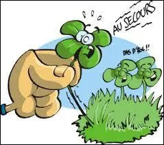 Quel cadeau ne faut-il jamais faire au risque de briser l'amitié ?