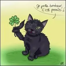 Tout va bien, vous êtes heureux, votre chat noir ne vous apporte que du bonheur, vous avez répondu brillamment aux questions du quiz, que devez-vous toucher pour que ça dure ?