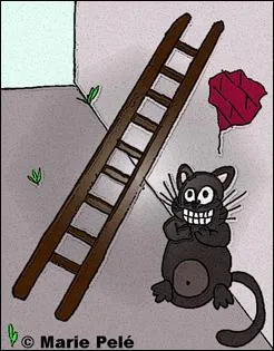 Il y a une échelle sur un trottoir étroit, qu'est-ce qui va vous porter malheur ?