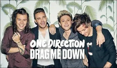 Quand est sortie la chanson ''Drag Me Down'' ?