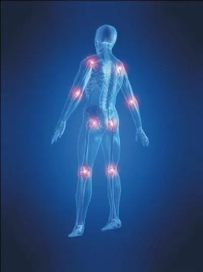 Que sont les articulations ?