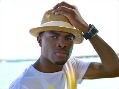 Comment s'appelle ce chanteur que nous avons beaucoup entendu cette été ?