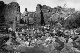 Datez le terrible génocide arménien.