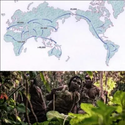 Entre -60 000 ans et -30 000 ans (dates approximatives), l'Homo sapiens provoque un changement majeur dans son histoire. Cela concerne l'ensemble du monde.
Que se passe-t-il ?