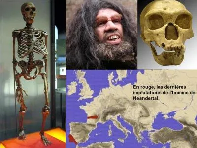 Il y a environ 30 000 ans, un événement majeur apparaît. Cet événement permet à l'Homo sapiens de dominer l'ensemble de la planète.
Quel est cet événement ?
Quelle est la population de la Terre, grosso modo, à cette époque ?