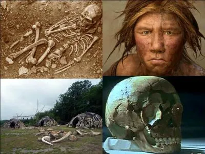 Il y a 250 000 ans, une espèce apparaît, il semblerait que cela ne soit qu'un de nos cousins et non un de nos ancêtres directs. Connaissez-vous ce membre lointain de la famille ?